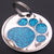With Tab Pet ID Tags Engraved Dog Discs Designer Paw Insert With Silver Round Tag 25mm